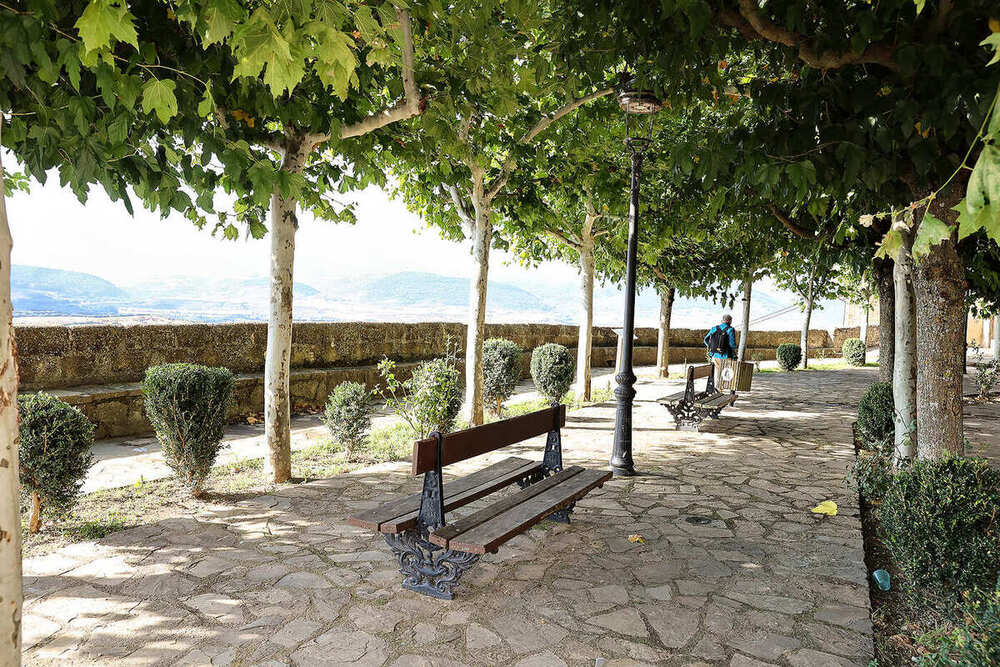 Paseo ajardinado con bancos y setos