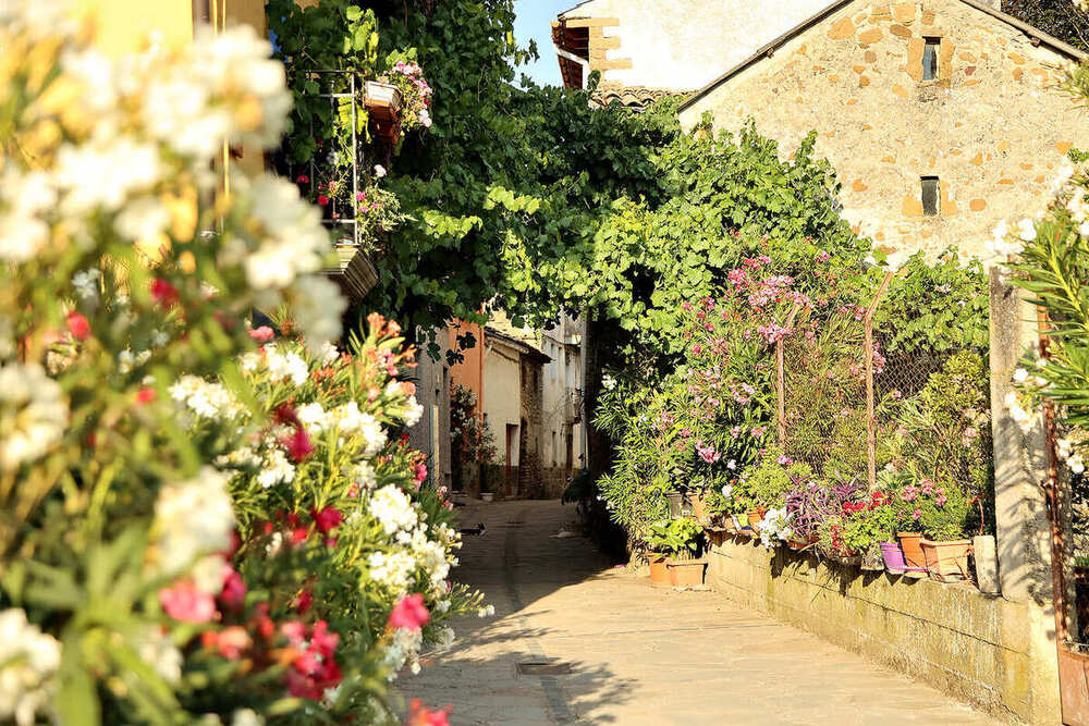 Calle repleta de flores y vegetación