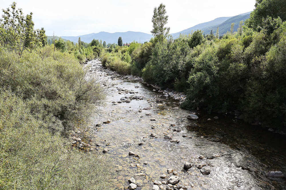 Río rodeado de maleza