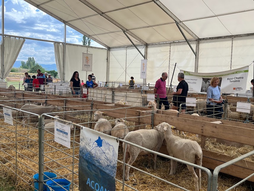 La Feria Expoforga se celebrará los días 3 y 4 de junio