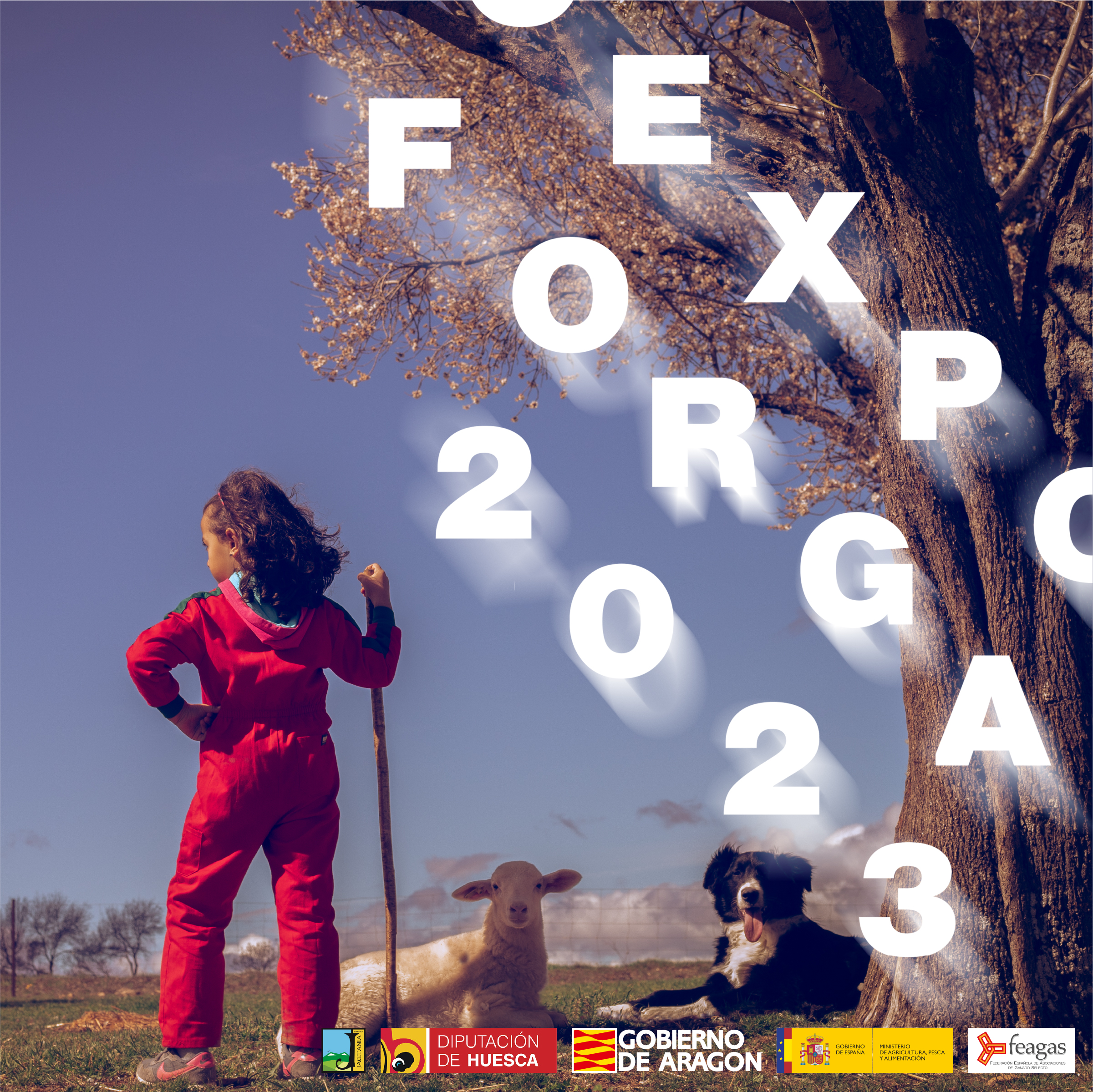 Los Jueves de Expoforga continúan con dos Jornadas técnicas sobre ganado vacuno y ovino