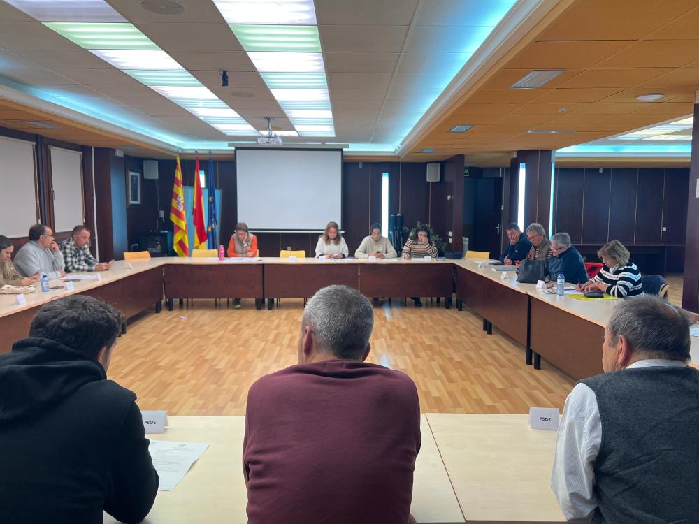 Imagen El Pleno Ordinario de la Comarca de la Jacetania aprueba sus ordenanzas fiscales para 2027